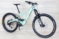 Ibis Oso - 2024, Large