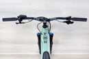 Ibis Oso - 2024, Large
