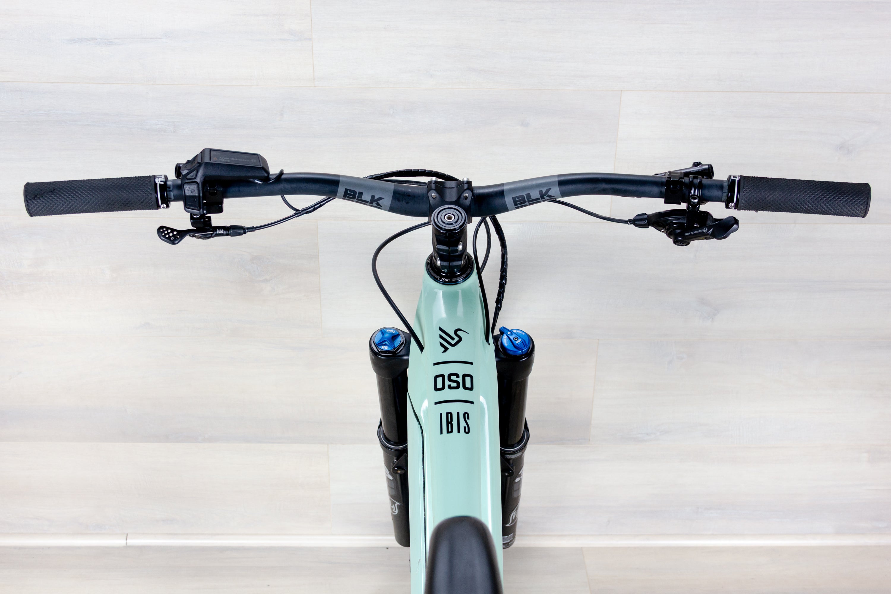 Ibis Oso - 2024, Large
