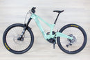 Ibis Oso - 2024, Large