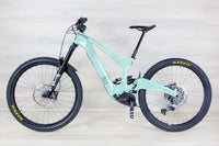 Ibis Oso - 2024, Large