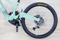 Ibis Oso - 2024, Large