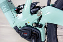Ibis Oso - 2024, Large
