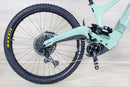 Ibis Oso - 2024, Large