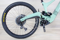 Ibis Oso - 2024, Large