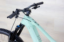 Ibis Oso - 2024, Large