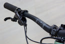 Ibis Oso - 2024, Large