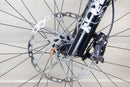 Ibis Oso - 2024, Large