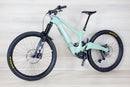 Ibis Oso - 2024, Large