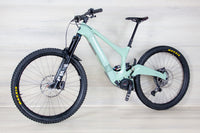 Ibis Oso - 2024, Large