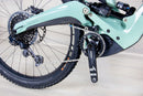 Ibis Oso - 2024, Large