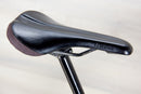 Ibis Oso - 2024, Large