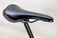 Ibis Oso - 2024, Large