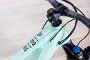 Ibis Oso - 2024, Large