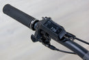 Ibis Oso - 2024, Large