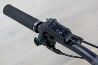 Ibis Oso - 2024, Large