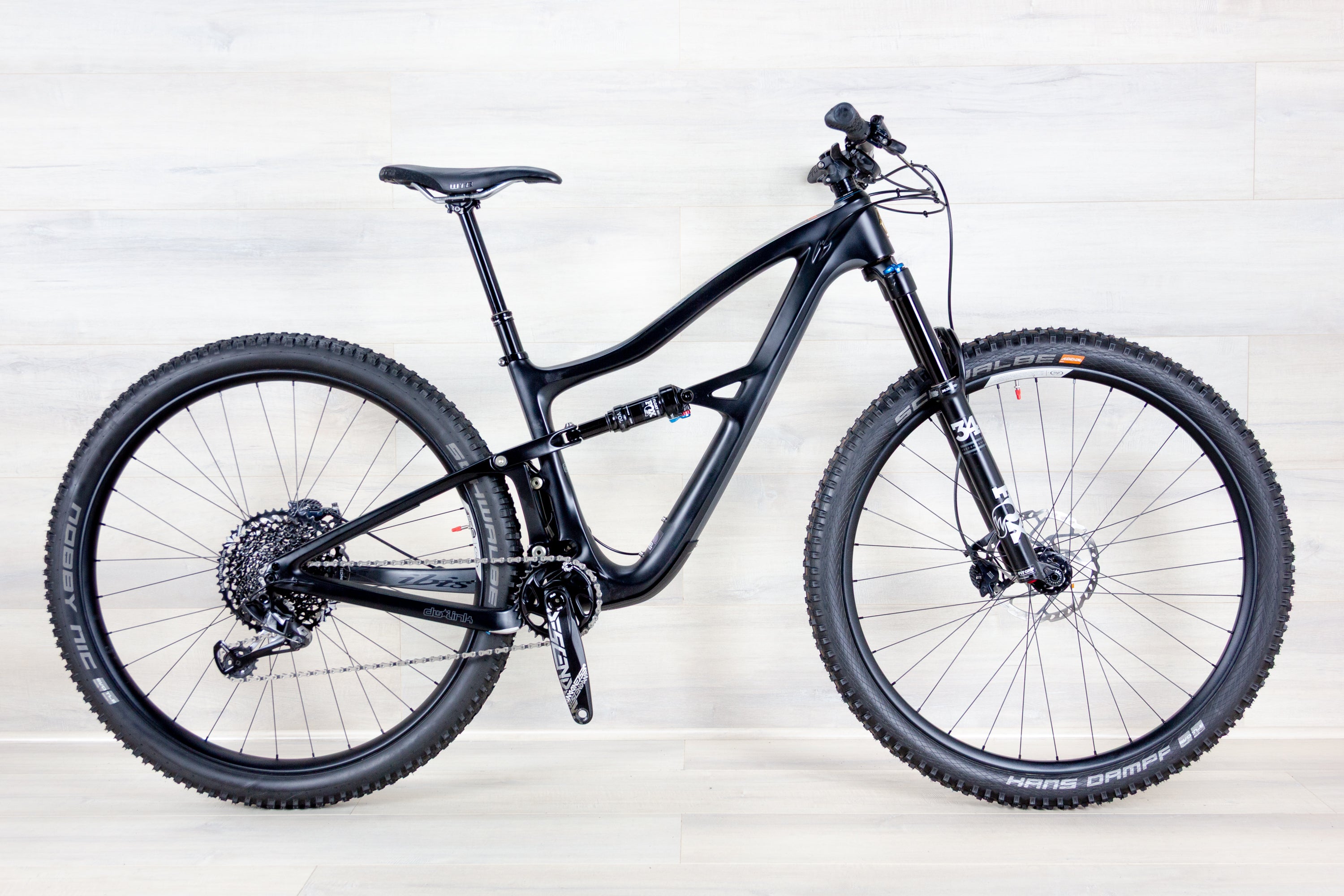 Ibis Ripley - 2023, Medium