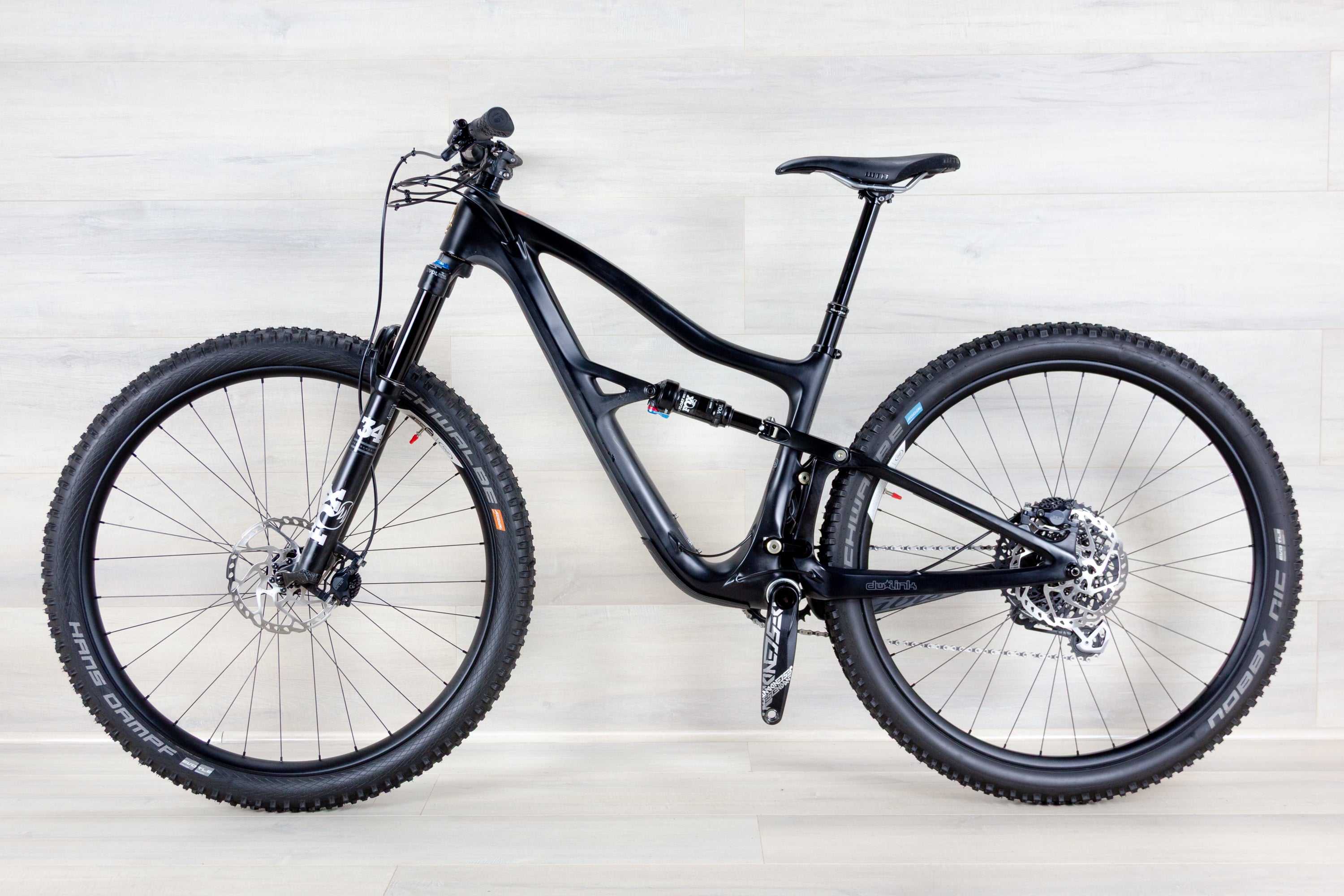Ibis Ripley - 2023, Medium