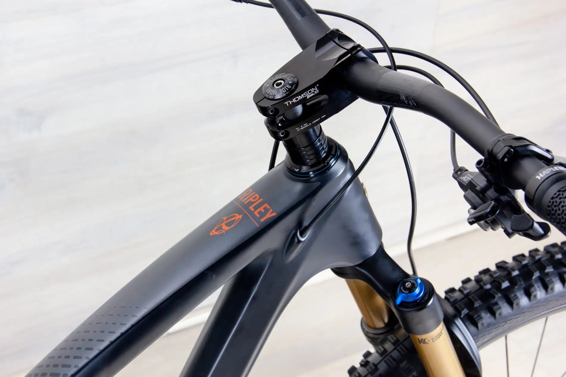 Ibis Ripley V4 - 2022, Large