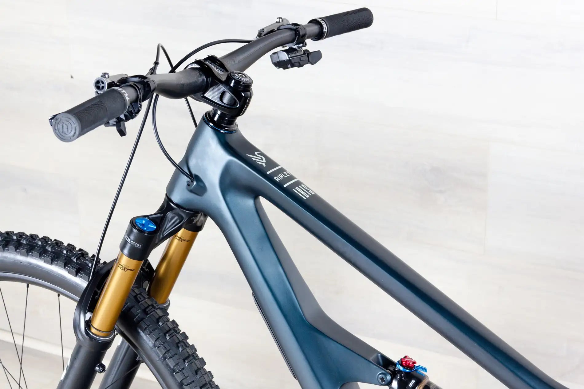 Ibis Ripley - 2025/2026, Large