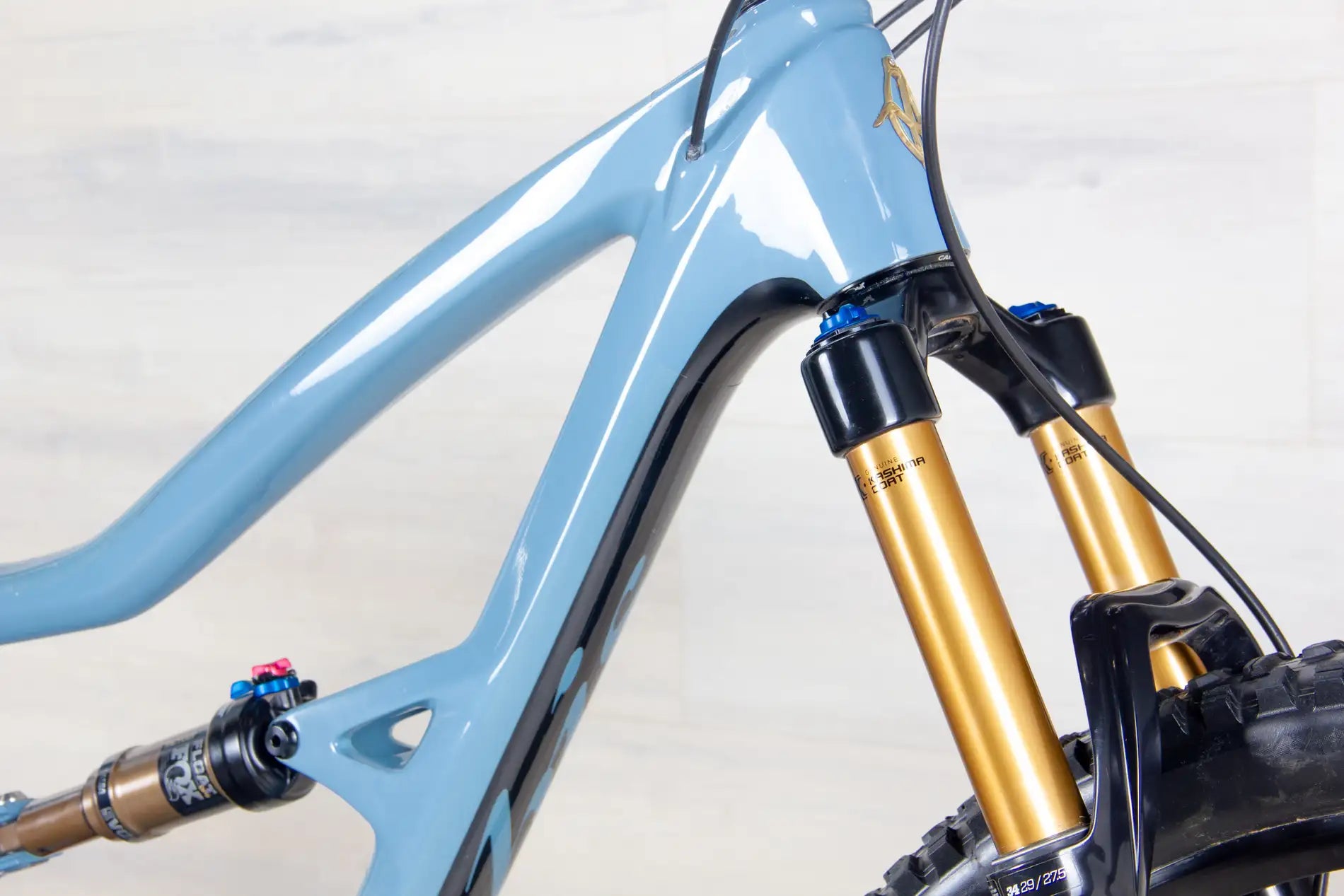 Ibis Ripley 4 - 2020, Large