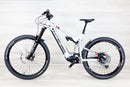 Intense Tazer Expert - 2024, Large