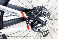 Intense Tazer Expert - 2024, Large