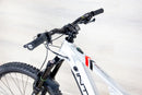 Intense Tazer Expert - 2024, Large