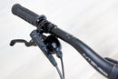 Intense Tazer Expert - 2024, Large