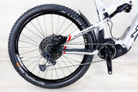 Intense Tazer Expert - 2024, Large