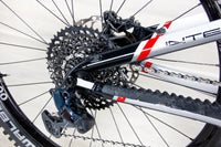 Intense Tazer Expert - 2024, Large