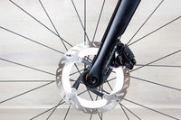 Litespeed Arenberg - 2025, Medium