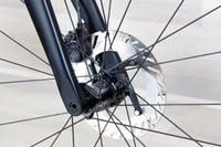 Litespeed Arenberg - 2025, Medium