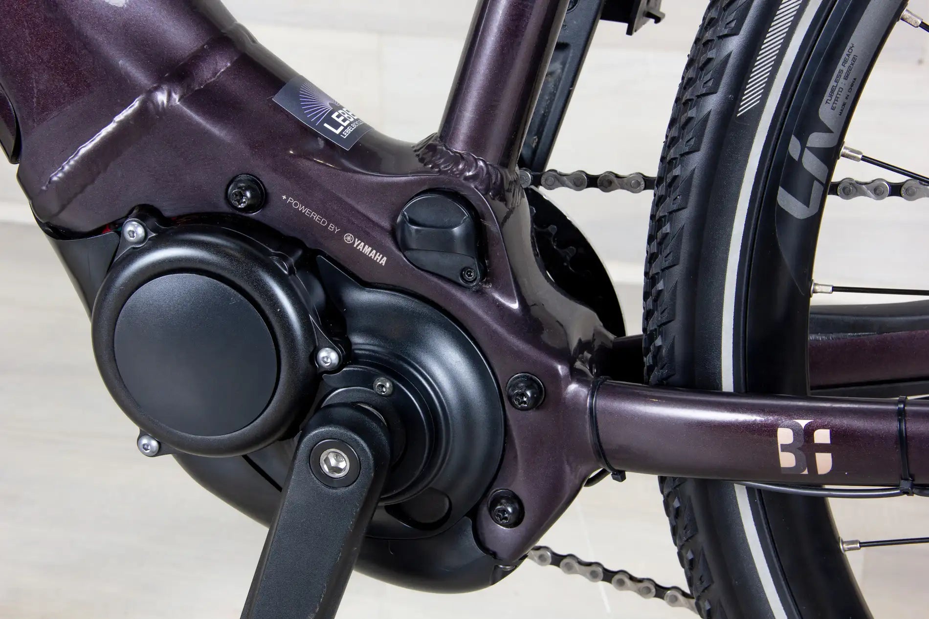 Liv Amiti E+ 2 - 2023, Medium
