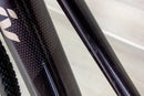 Liv Amiti E+ 2 - 2023, Medium