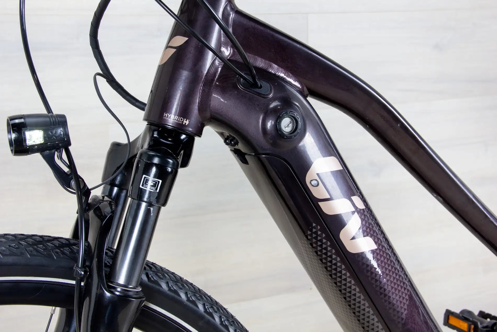 Liv Amiti E+ 2 - 2023, Medium