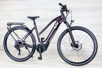 Liv Amiti E+ 2 - 2023, Medium