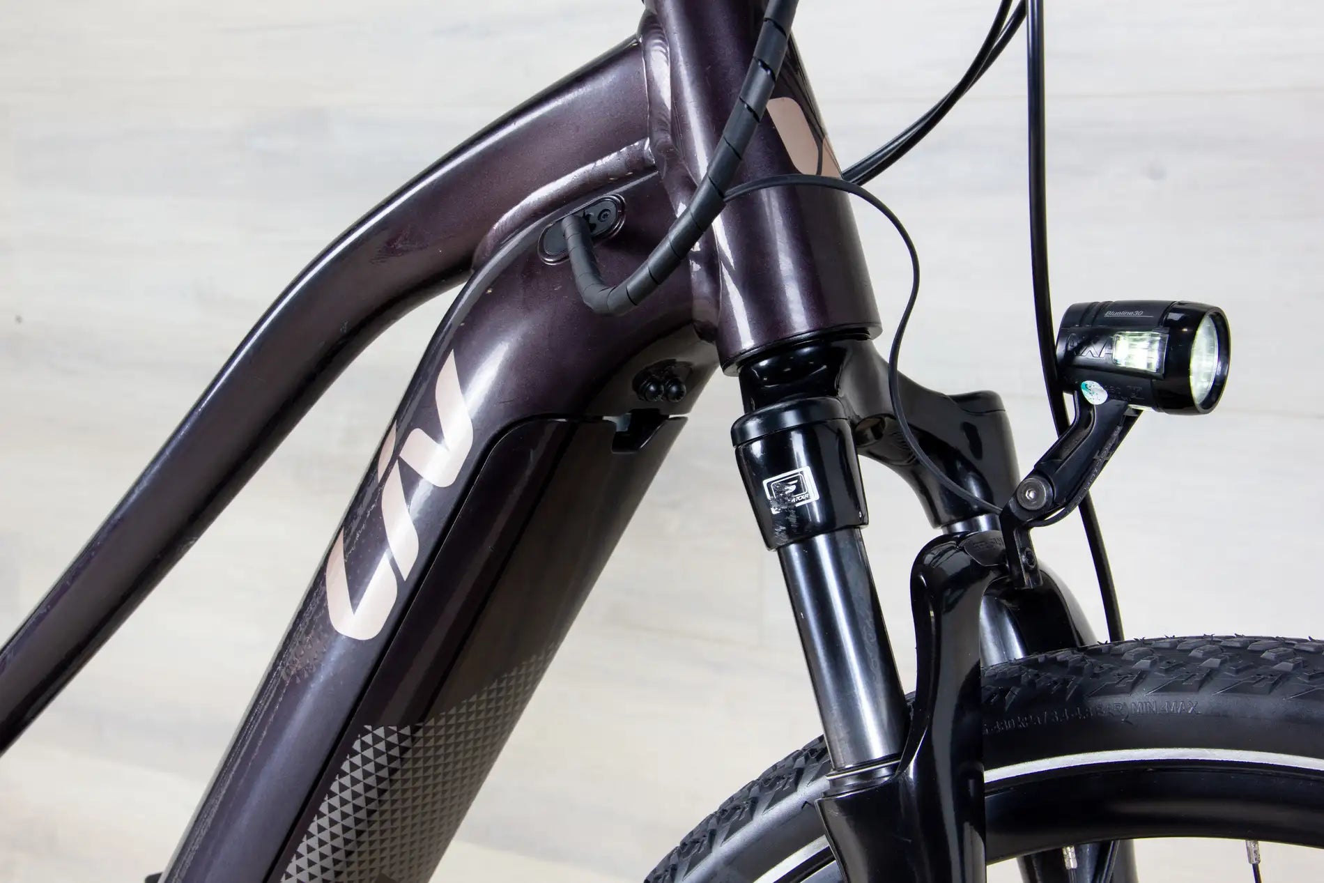 Liv Amiti E+ 2 - 2023, Medium