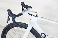 Oak Twilight - 2025, 55 cm