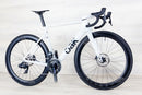 Oak Twilight - 2025, 55 cm