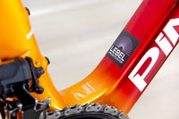 Pinarello Dogma X - 2025, Small/51.5 cm