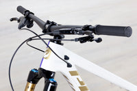 Pivot Firebird Pro X0 Eagle Transmission Bike PFR limited edition - 2024-25, Medium
