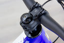 Pivot Firebird Pro X0 Eagle Transmission Bike PFR limited edition - 2024-25, Medium