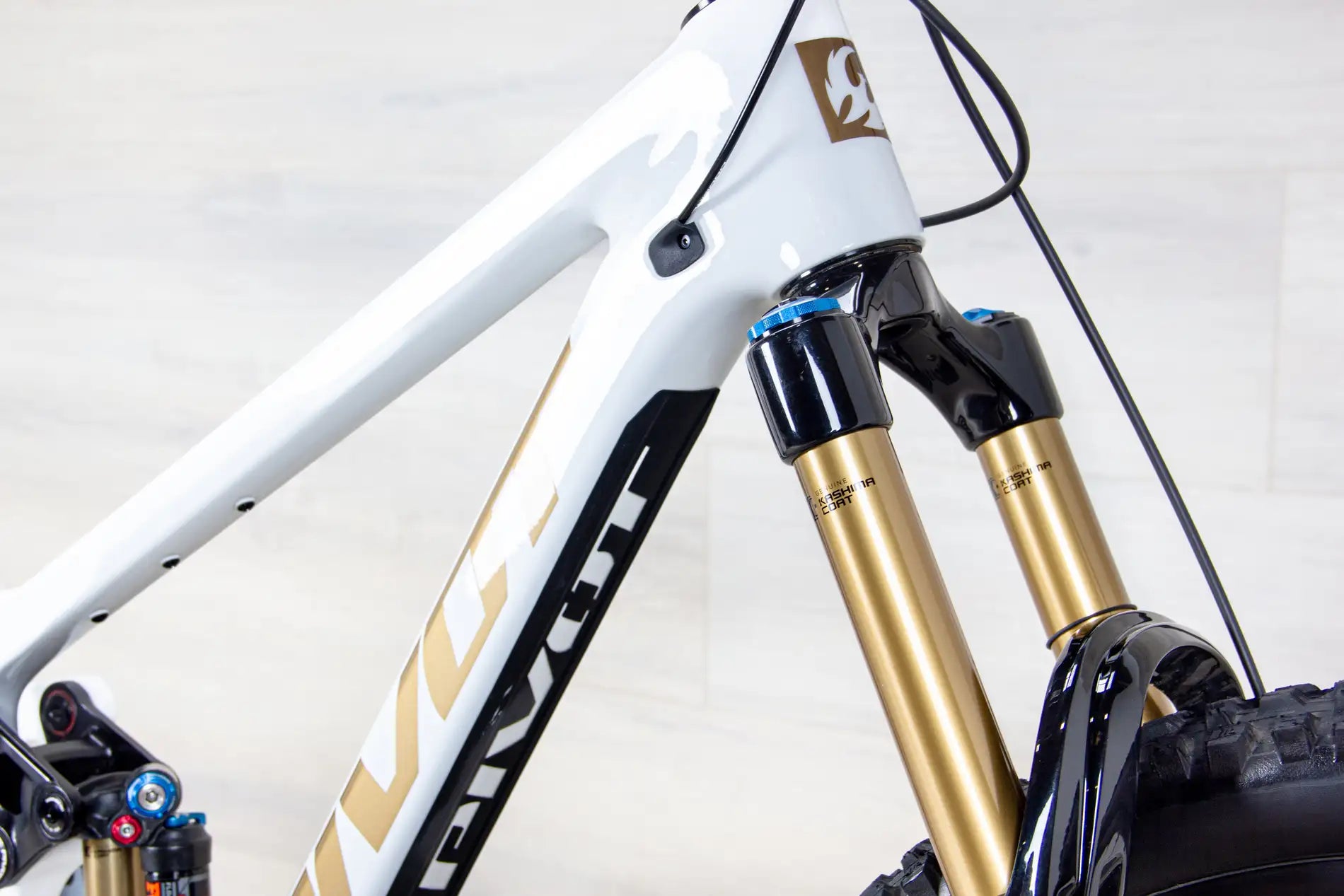 Pivot Firebird Pro - 2025, Large
