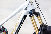 Pivot Firebird Pro - 2025, Large