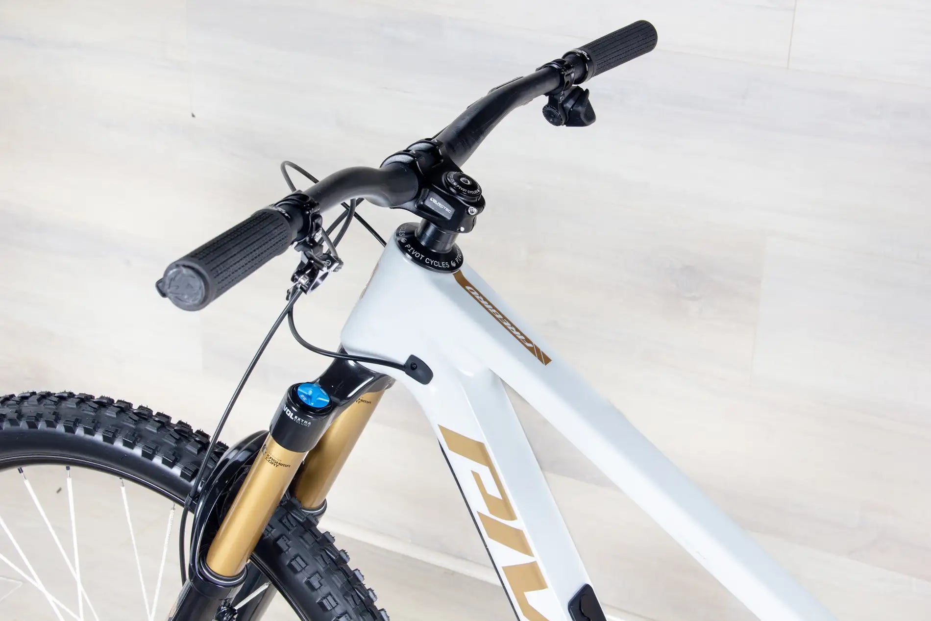 Pivot Firebird - 2025, Large