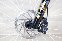 Pivot Firebird - 2025, Large