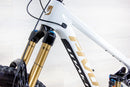 Pivot Firebird Pro - 2025, Large