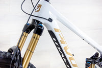 Pivot Firebird Pro - 2025, Large
