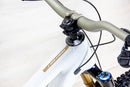 Pivot Firebird Pro - 2025, Large